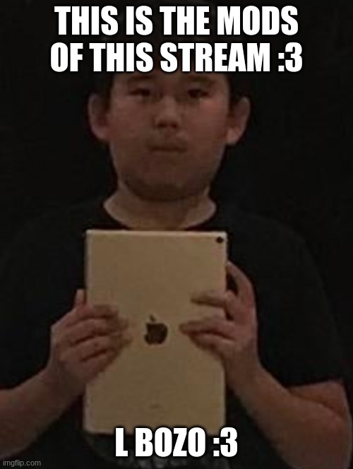 Kid with ipad | THIS IS THE MODS OF THIS STREAM :3; L BOZO :3 | image tagged in kid with ipad | made w/ Imgflip meme maker
