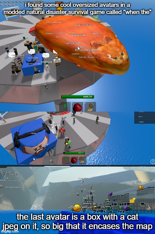 the game is called "when the" by Cadentopia | i found some cool oversized avatars in a modded natural disaster survival game called "when the"; the last avatar is a box with a cat jpeg on it, so big that it encases the map | image tagged in roblox,natural disaster survival,video games,gaming,memes,funny | made w/ Imgflip meme maker