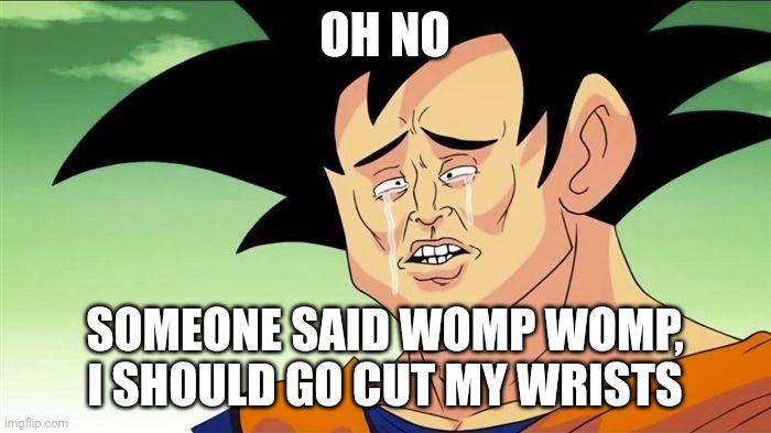 Goku Sad | OH NO SOMEONE SAID WOMP WOMP, I SHOULD GO CUT MY WRISTS | image tagged in goku sad | made w/ Imgflip meme maker