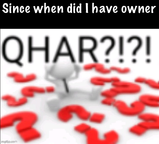 All I want to know is who gave me owner | Since when did I have owner | image tagged in qhar | made w/ Imgflip meme maker