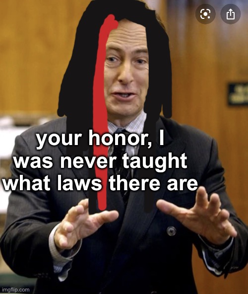 boy in a court | your honor, I was never taught what laws there are | image tagged in your honor | made w/ Imgflip meme maker