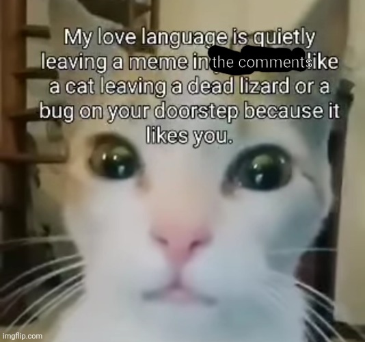 the comments | made w/ Imgflip meme maker