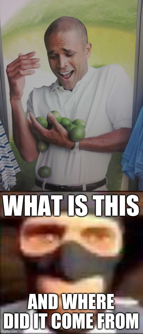 WHAT IS THIS; AND WHERE DID IT COME FROM | image tagged in memes,why can't i hold all these limes,spi | made w/ Imgflip meme maker