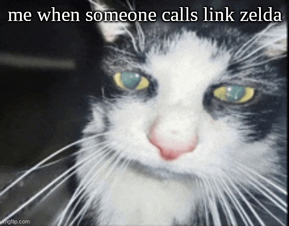 THE LORE OF THE FIRST GAME EXPLAINS THE NAMING OF THE SERIES | me when someone calls link zelda | image tagged in high cat | made w/ Imgflip meme maker