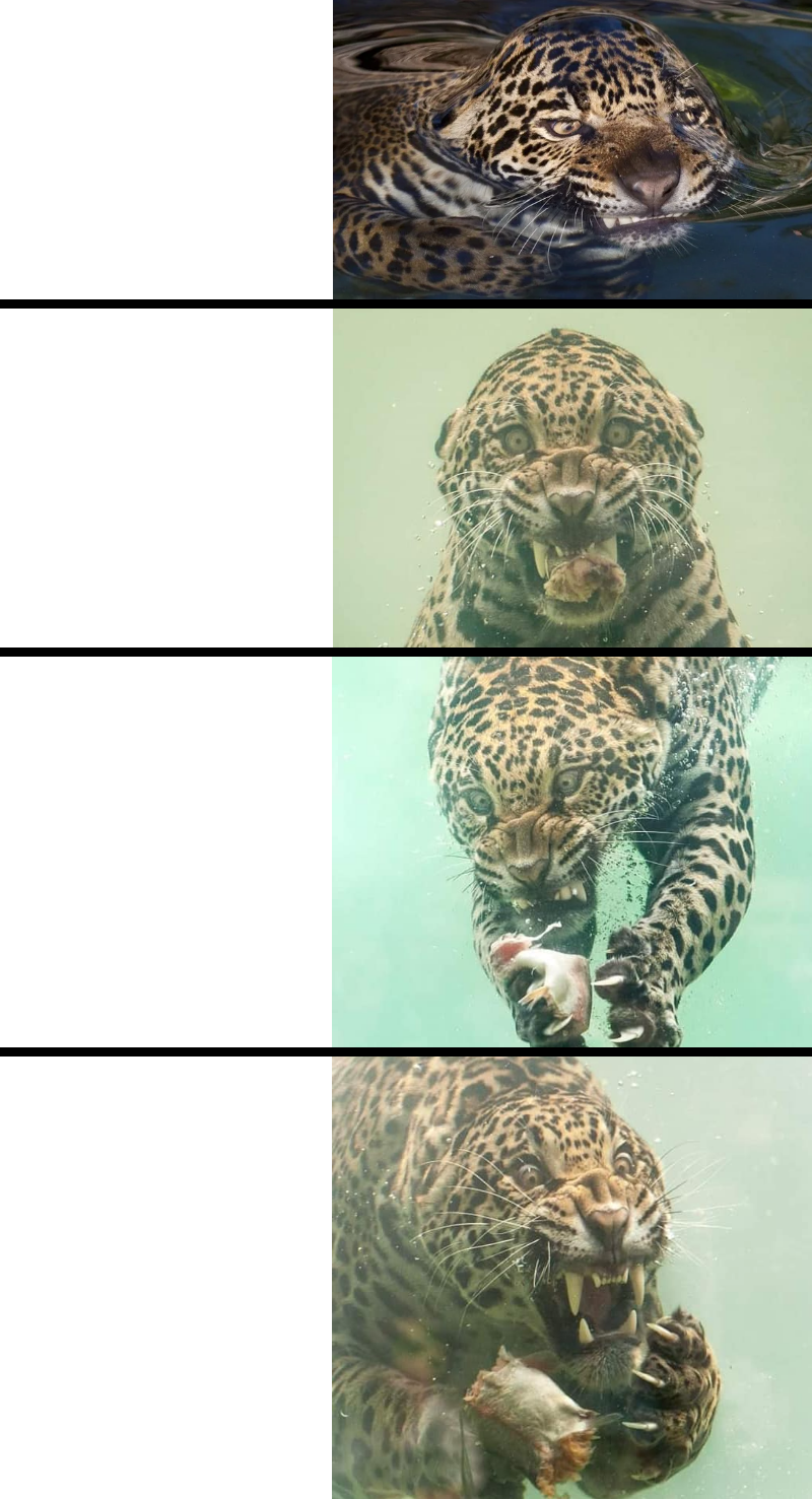 fhangry jaguar Blank Meme Template