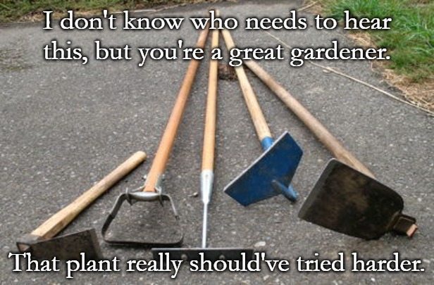 garden hoes | I don't know who needs to hear this, but you're a great gardener. That plant really should've tried harder. | image tagged in garden hoes | made w/ Imgflip meme maker