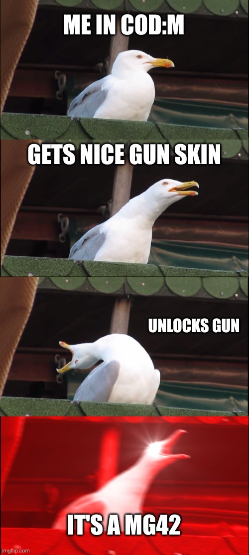 Inhaling Seagull Meme | ME IN COD:M; GETS NICE GUN SKIN; UNLOCKS GUN; IT'S A MG42 | image tagged in memes,inhaling seagull | made w/ Imgflip meme maker