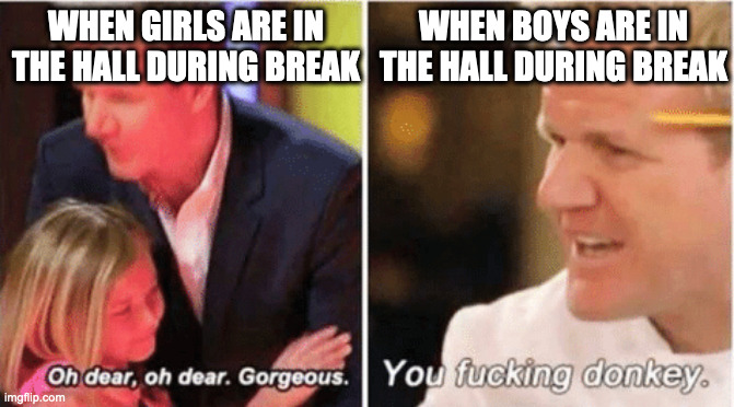 im not even kidding its ridiculous | WHEN GIRLS ARE IN THE HALL DURING BREAK; WHEN BOYS ARE IN THE HALL DURING BREAK | image tagged in gordon ramsey talking to kids vs talking to adults | made w/ Imgflip meme maker