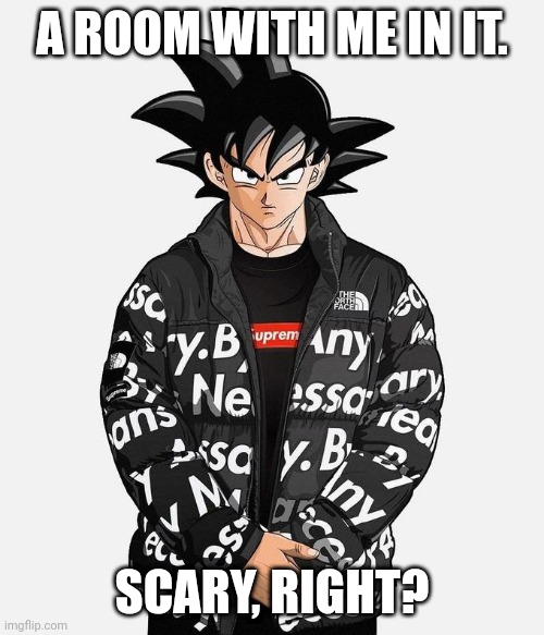 Drip Goku | A ROOM WITH ME IN IT. SCARY, RIGHT? | image tagged in drip goku | made w/ Imgflip meme maker