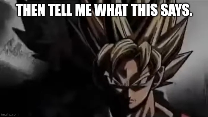 Goku Staring | THEN TELL ME WHAT THIS SAYS. | image tagged in goku staring | made w/ Imgflip meme maker