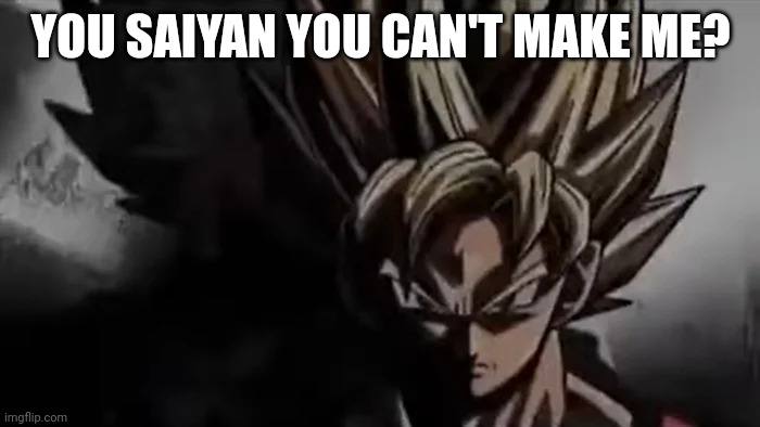 Goku Staring | YOU SAIYAN YOU CAN'T MAKE ME? | image tagged in goku staring | made w/ Imgflip meme maker