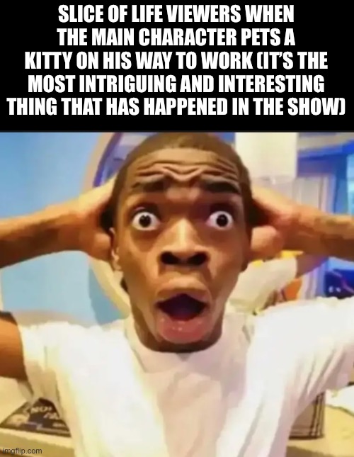 I know it’s unoriginal but it’s not old | SLICE OF LIFE VIEWERS WHEN THE MAIN CHARACTER PETS A KITTY ON HIS WAY TO WORK (IT’S THE MOST INTRIGUING AND INTERESTING THING THAT HAS HAPPENED IN THE SHOW) | image tagged in surprised black guy | made w/ Imgflip meme maker