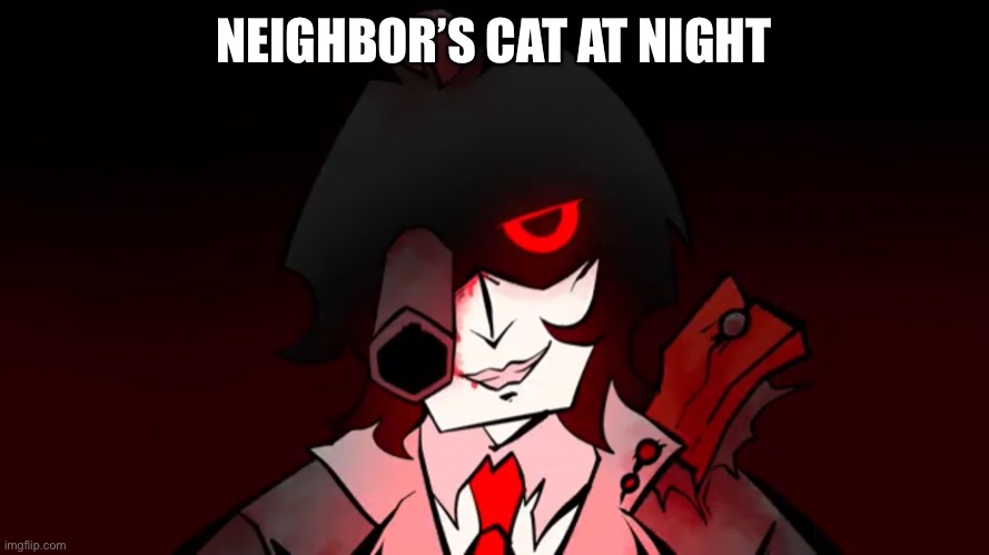 neightbor’s cat at night | NEIGHBOR’S CAT AT NIGHT | image tagged in careen staring | made w/ Imgflip meme maker