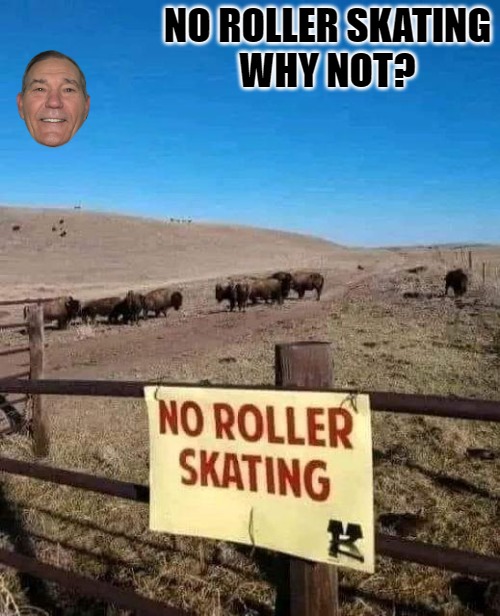 NO ROLLER SKATING
WHY NOT? | made w/ Imgflip meme maker