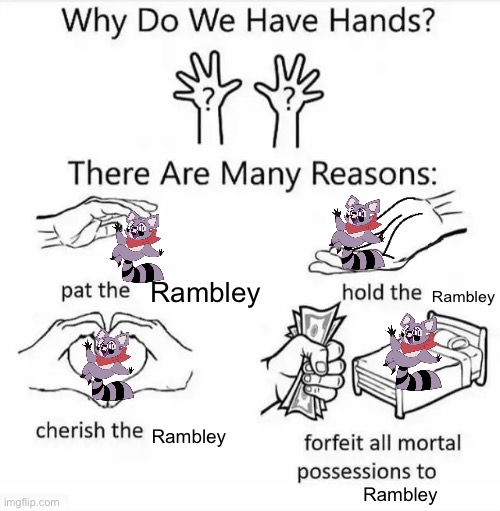 Why do we have hands? (Rambley racoon) | Rambley; Rambley; Rambley; Rambley | image tagged in why do we have hands all blank | made w/ Imgflip meme maker