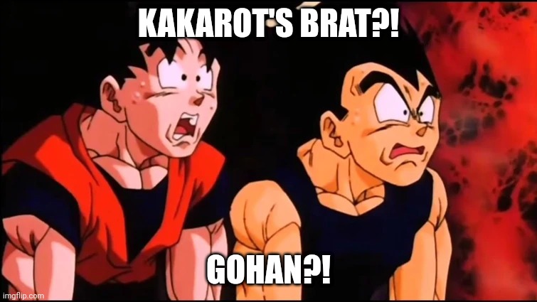 goku and vegeta shocked | KAKAROT'S BRAT?! GOHAN?! | image tagged in goku and vegeta shocked | made w/ Imgflip meme maker