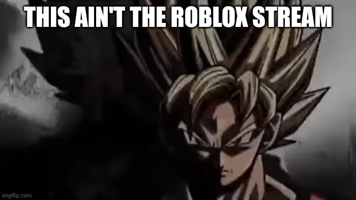 Goku Staring | THIS AIN'T THE ROBLOX STREAM | image tagged in goku staring | made w/ Imgflip meme maker