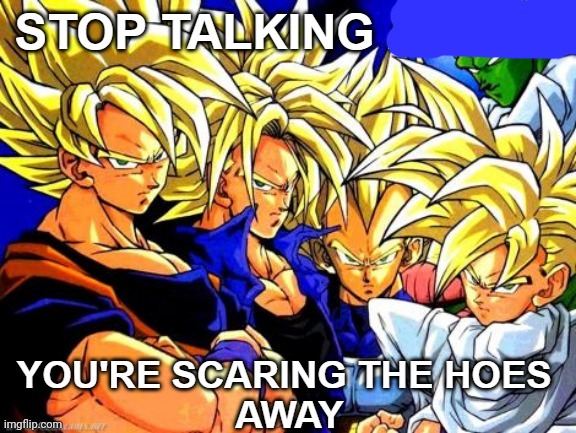 DBZ stop talking about You're scaring the hoes away | image tagged in dbz stop talking about you're scaring the hoes away | made w/ Imgflip meme maker