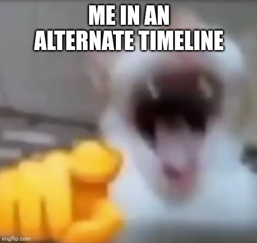 Cat pointing and laughing | ME IN AN ALTERNATE TIMELINE | image tagged in cat pointing and laughing | made w/ Imgflip meme maker