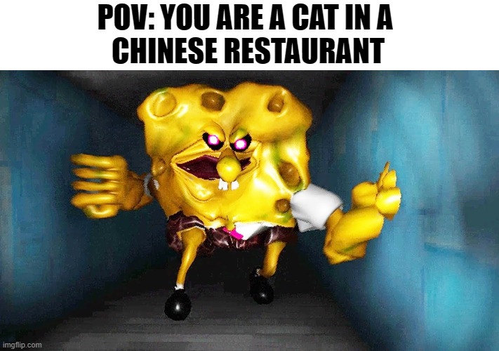 Yum | POV: YOU ARE A CAT IN A 
CHINESE RESTAURANT | image tagged in the true ingredient spongebob,dark humor,dark,memes | made w/ Imgflip meme maker