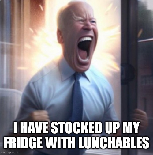 Biden Lets Go | I HAVE STOCKED UP MY
FRIDGE WITH LUNCHABLES | image tagged in biden lets go | made w/ Imgflip meme maker