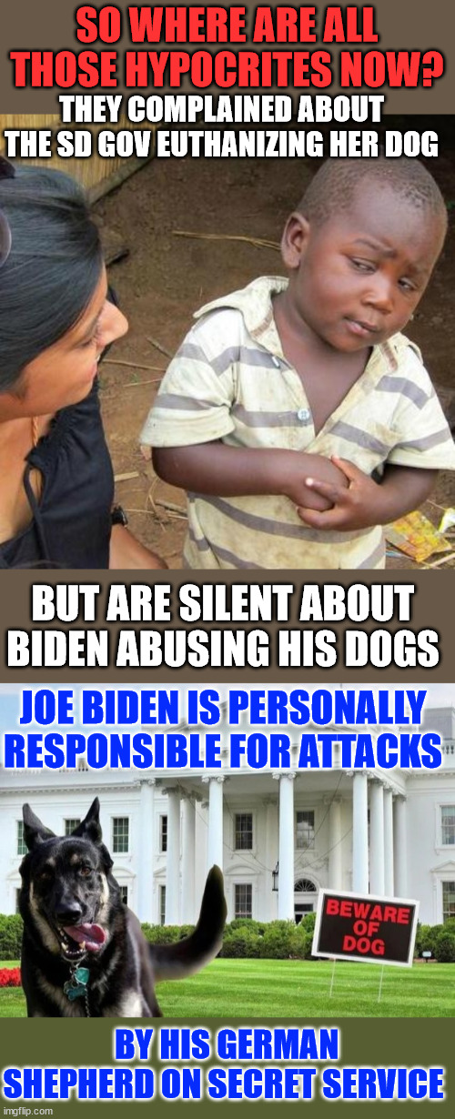 Where is the outrage from the left over Biden punching and kicking his dogs? | SO WHERE ARE ALL THOSE HYPOCRITES NOW? THEY COMPLAINED ABOUT THE SD GOV EUTHANIZING HER DOG; BUT ARE SILENT ABOUT BIDEN ABUSING HIS DOGS; JOE BIDEN IS PERSONALLY RESPONSIBLE FOR ATTACKS; BY HIS GERMAN SHEPHERD ON SECRET SERVICE | image tagged in memes,libs,still defending,dementia joe,abused dogs | made w/ Imgflip meme maker