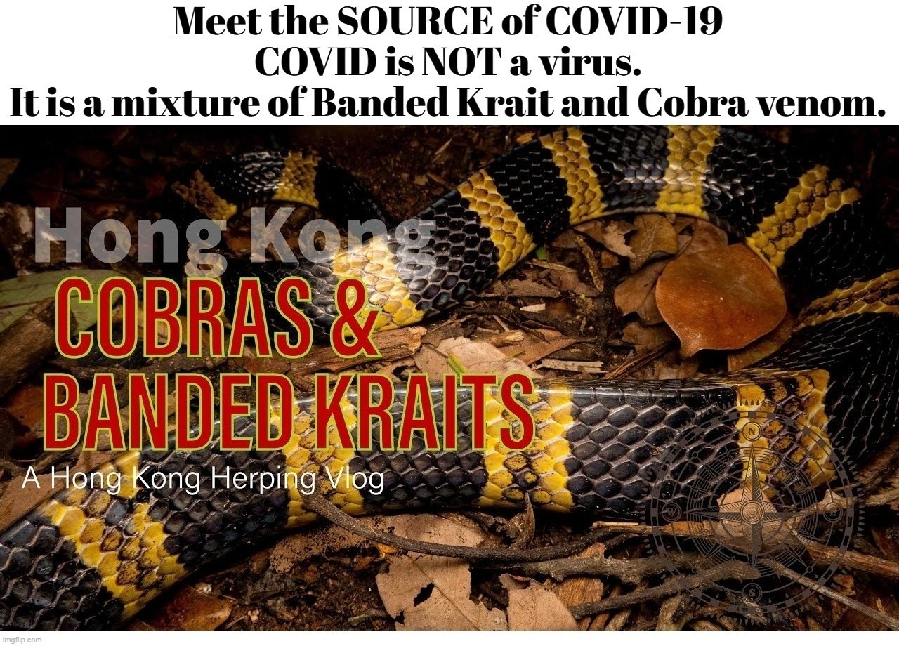 Meet the SOURCE of COVID-19 | image tagged in covid-19,not a virus,snake venom,poison,plandemic,crimes against humanity | made w/ Imgflip meme maker