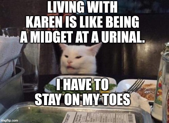 Smudge that darn cat | LIVING WITH KAREN IS LIKE BEING A MIDGET AT A URINAL. I HAVE TO STAY ON MY TOES | image tagged in smudge that darn cat | made w/ Imgflip meme maker