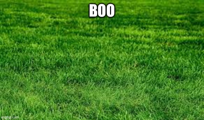 touching grass | BOO | image tagged in touching grass | made w/ Imgflip meme maker