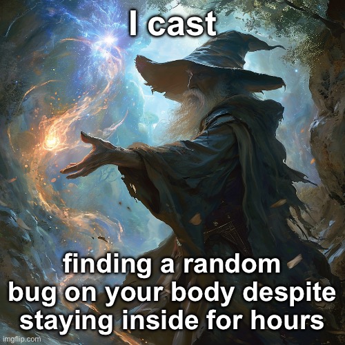 I cast | I cast; finding a random bug on your body despite staying inside for hours | image tagged in i cast | made w/ Imgflip meme maker