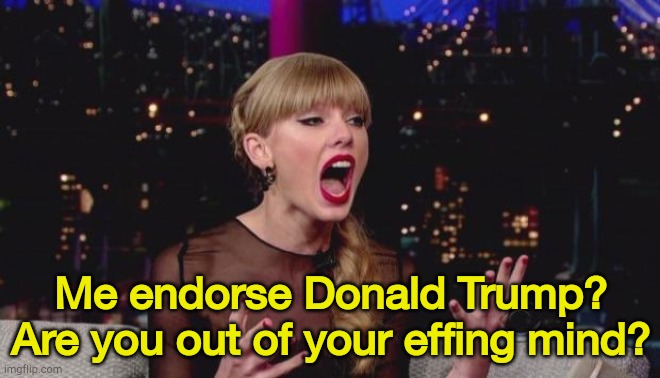 I take it that 's a "no"? | Me endorse Donald Trump?
Are you out of your effing mind? | image tagged in taylor swift | made w/ Imgflip meme maker
