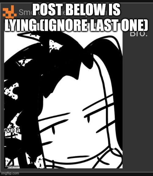 Bro. | POST BELOW IS LYING (IGNORE LAST ONE) | image tagged in bro | made w/ Imgflip meme maker