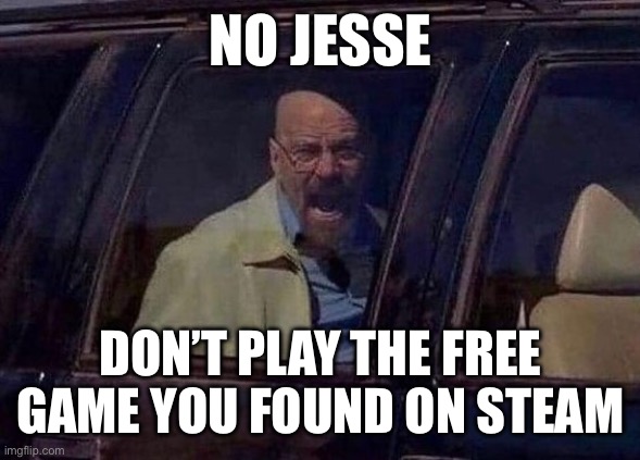 Walter White Screaming At Hank | NO JESSE DON’T PLAY THE FREE GAME YOU FOUND ON STEAM | image tagged in walter white screaming at hank | made w/ Imgflip meme maker