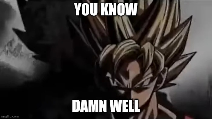 Goku Staring | YOU KNOW DAMN WELL | image tagged in goku staring | made w/ Imgflip meme maker