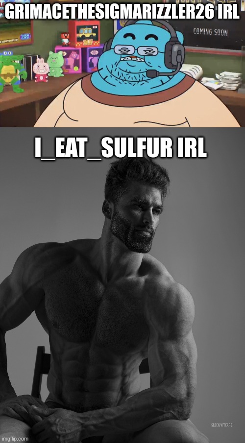 GRIMACETHESIGMARIZZLER26 IRL I_EAT_SULFUR IRL | image tagged in discord moderator,giga chad | made w/ Imgflip meme maker