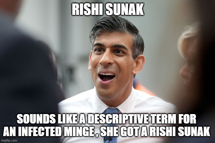 RISHI SUNAK; SOUNDS LIKE A DESCRIPTIVE TERM FOR  AN INFECTED MINGE , SHE GOT A RISHI SUNAK | made w/ Imgflip meme maker