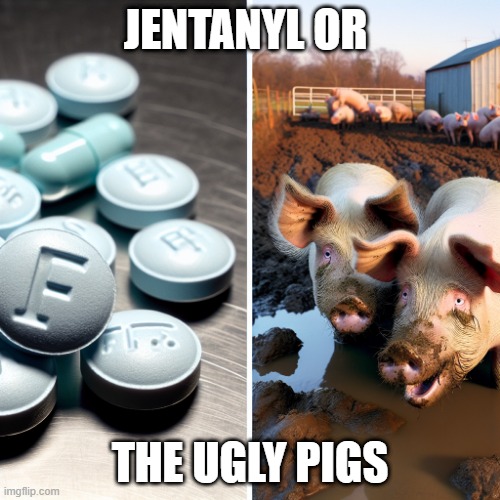 4134134434335 | JENTANYL OR; THE UGLY PIGS | image tagged in memes,dank memes | made w/ Imgflip meme maker