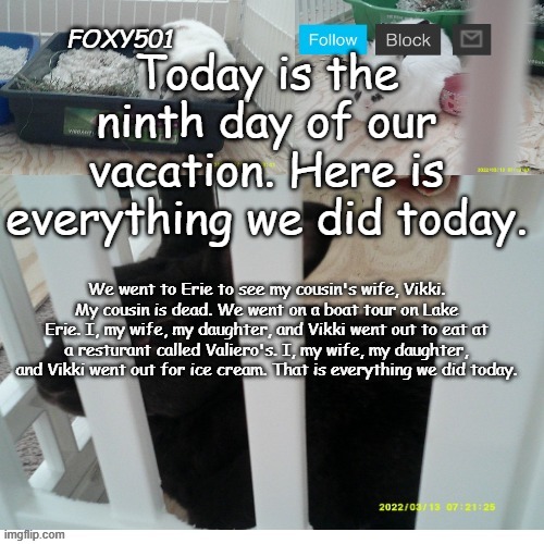 Foxy501 announcement template | Today is the ninth day of our vacation. Here is everything we did today. We went to Erie to see my cousin's wife, Vikki. My cousin is dead. We went on a boat tour on Lake Erie. I, my wife, my daughter, and Vikki went out to eat at a resturant called Valiero's. I, my wife, my daughter, and Vikki went out for ice cream. That is everything we did today. | image tagged in foxy501 announcement template | made w/ Imgflip meme maker