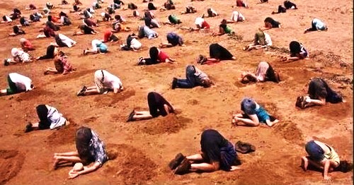 Democrats with their heads in the sand Blank Meme Template