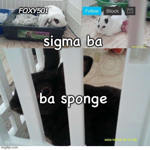 sigma baba sponge? (does anybody just hate this user to oblivion?) | sigma ba; ba sponge | image tagged in foxy501 announcement template | made w/ Imgflip meme maker
