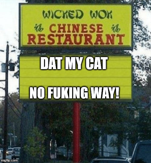 HOLY   FRUK! | DAT MY CAT; NO FUKING WAY! | image tagged in chinese restaurant,what   da   hell   is this  chinese,you eat here  food | made w/ Imgflip meme maker