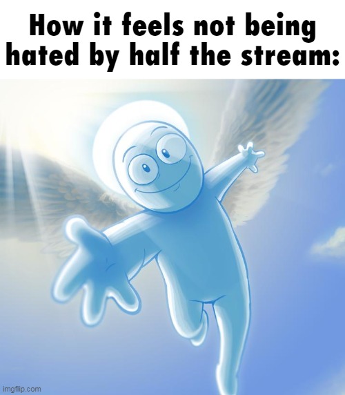 angel | How it feels not being hated by half the stream: | image tagged in angel | made w/ Imgflip meme maker