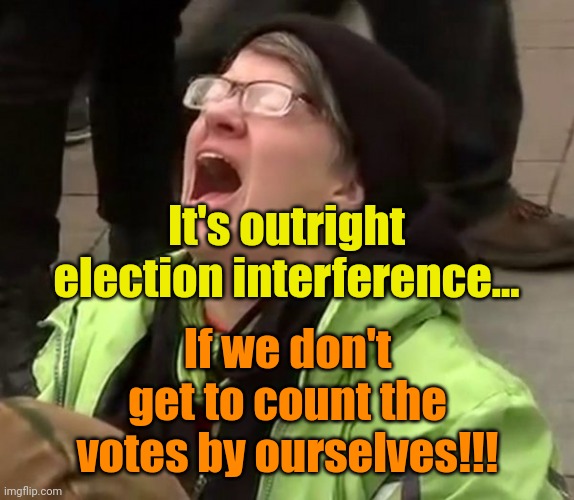Crying Liberal | It's outright election interference... If we don't get to count the votes by ourselves!!! | image tagged in crying liberal | made w/ Imgflip meme maker