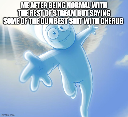 angel | ME AFTER BEING NORMAL WITH THE REST OF STREAM BUT SAYING SOME OF THE DUMBEST SHIT WITH CHERUB | image tagged in angel | made w/ Imgflip meme maker