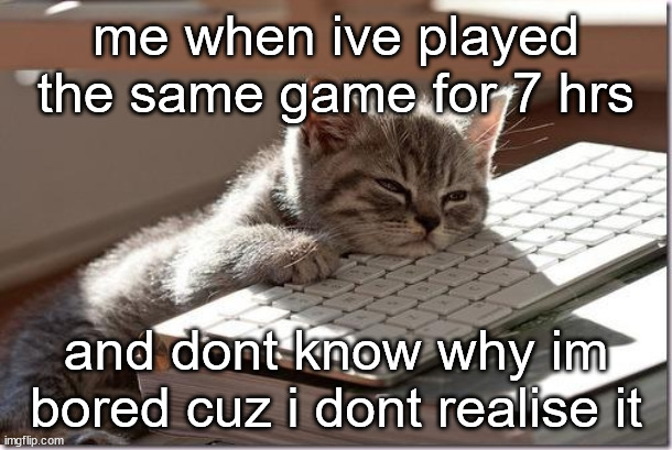 me when | me when ive played the same game for 7 hrs; and dont know why im bored cuz i dont realise it | image tagged in bored keyboard cat,boredom,i am in your walls | made w/ Imgflip meme maker