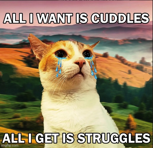 Funny meme my bf sent me I figured I'd post | made w/ Imgflip meme maker