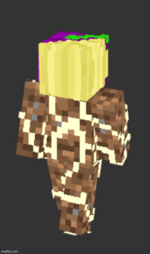 the best minecraft skin hands down | made w/ Imgflip meme maker
