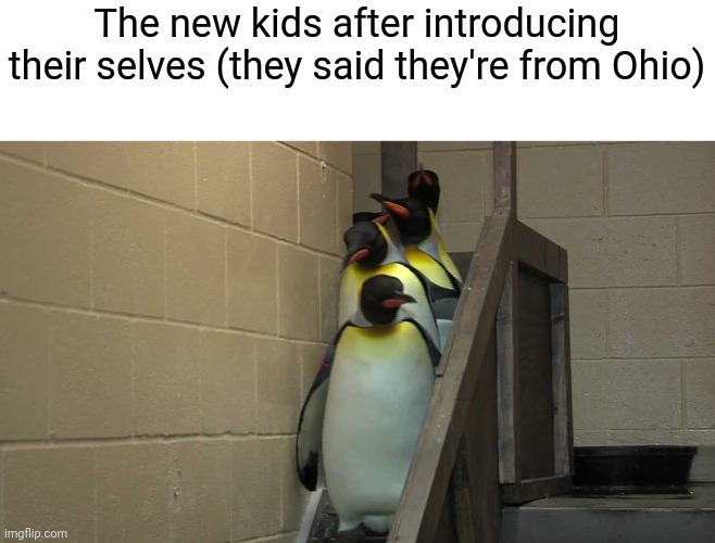 Principle's Office | The new kids after introducing their selves (they said they're from Ohio) | image tagged in principle's office | made w/ Imgflip meme maker
