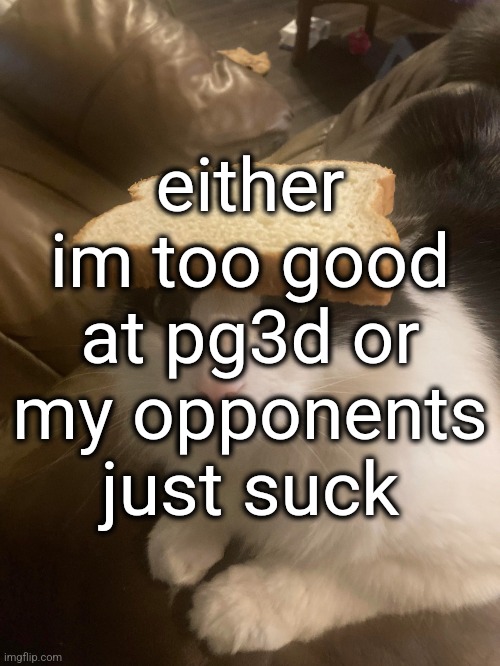 bread cat | either im too good at pg3d or my opponents just suck | image tagged in bread cat | made w/ Imgflip meme maker