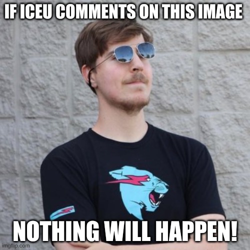 Mr. Beast | IF ICEU COMMENTS ON THIS IMAGE; NOTHING WILL HAPPEN! | image tagged in mr beast | made w/ Imgflip meme maker